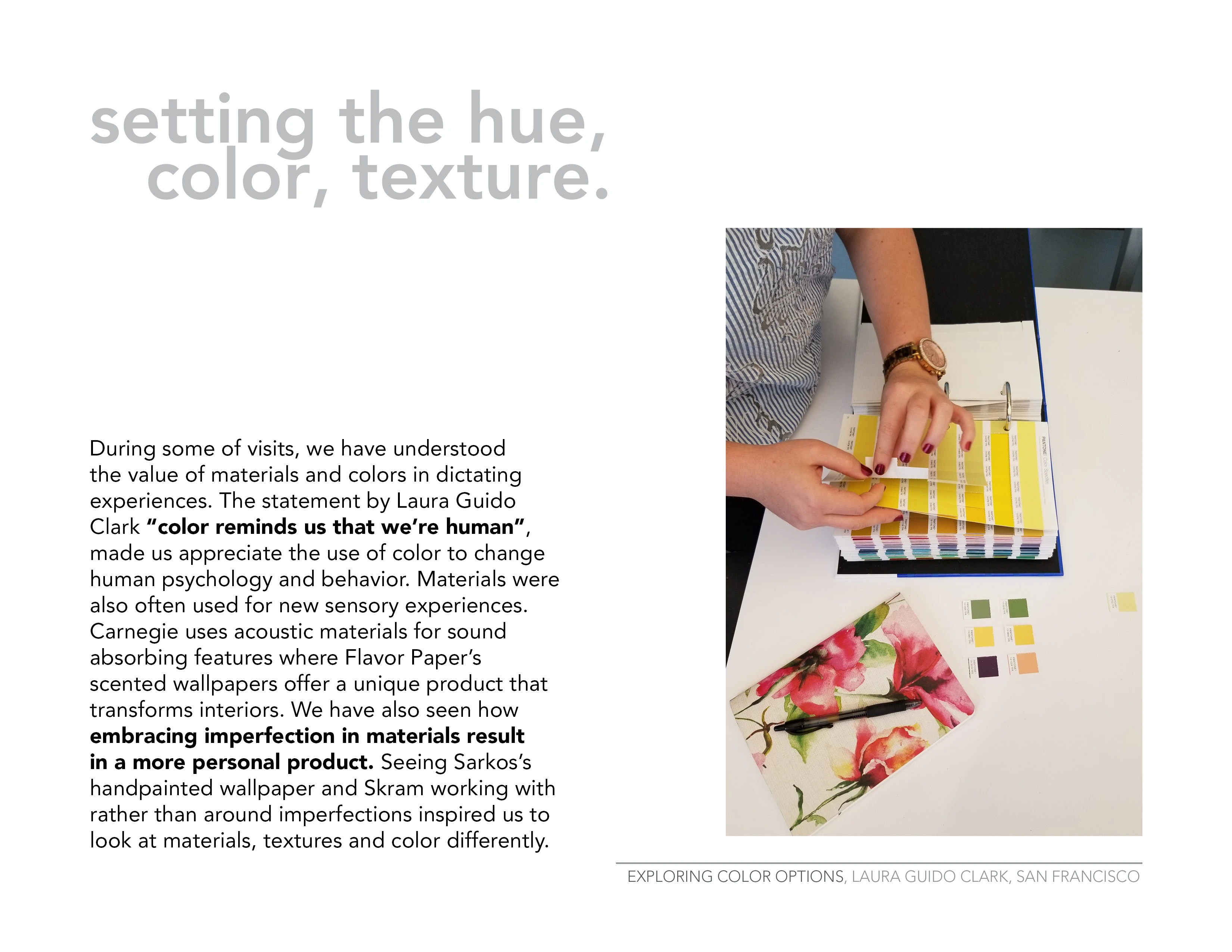 A descriptive text slide talking about hue, color and texture discovery.