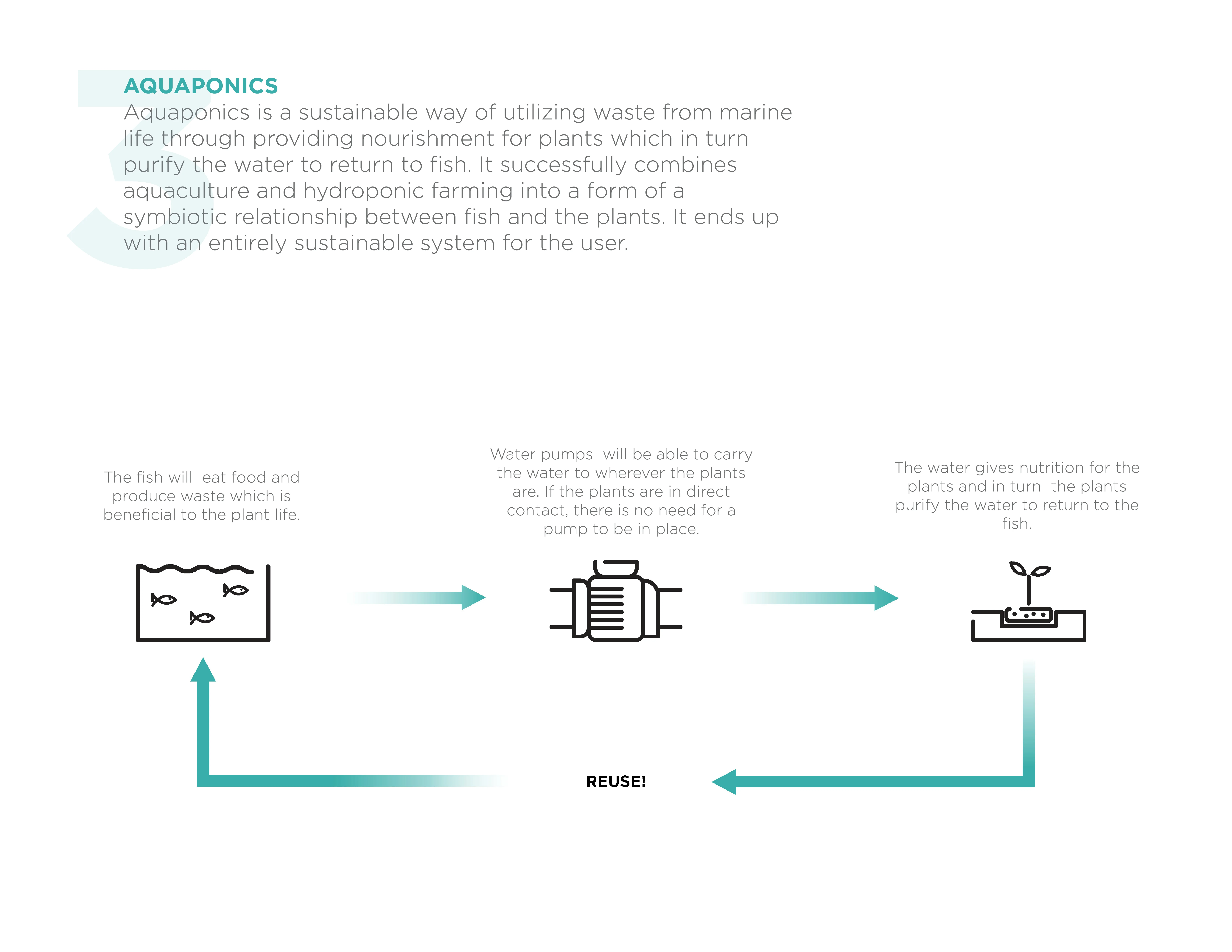 Illustrated aquaponics cycle showing fish, plants, and water purification.