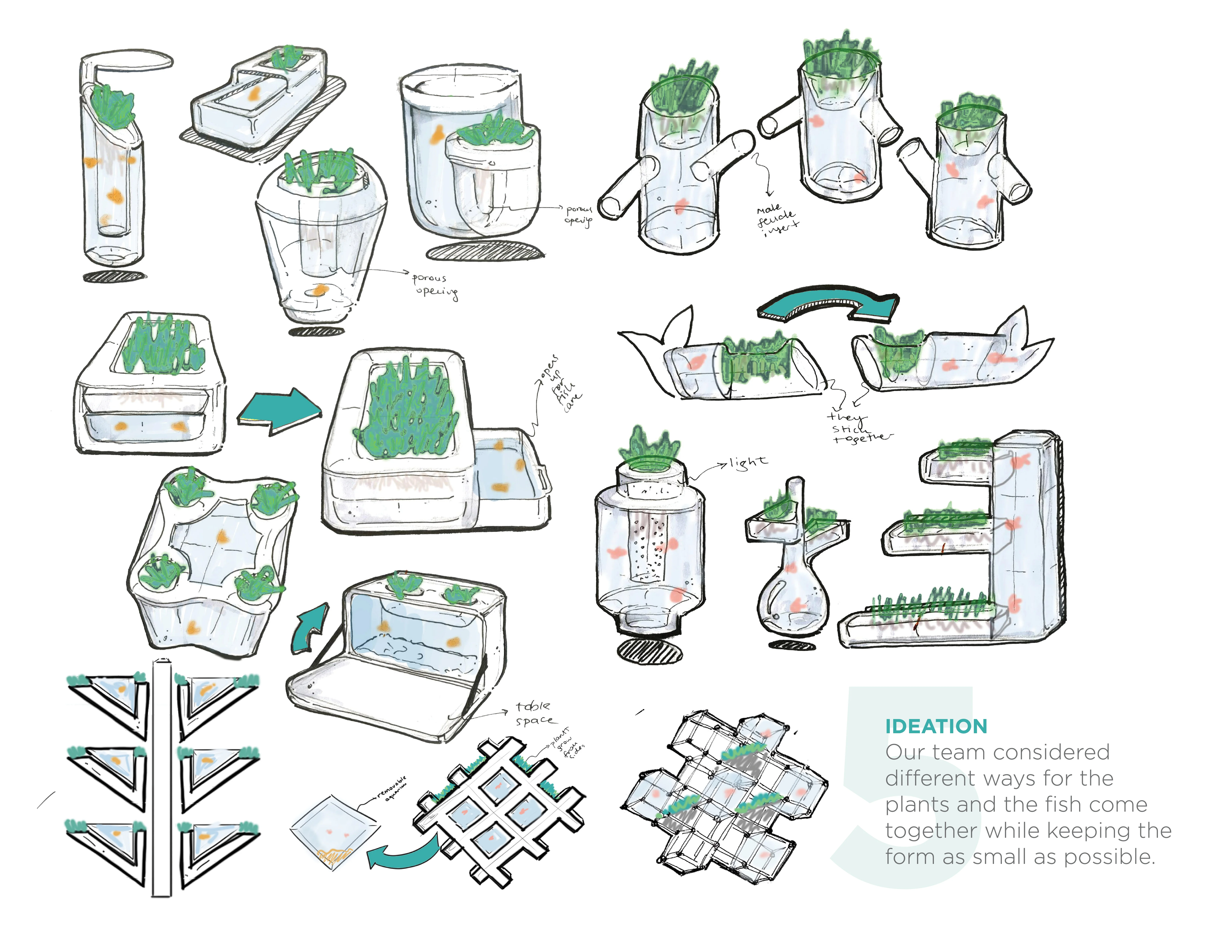 Sketches of compact aquaponic module designs.