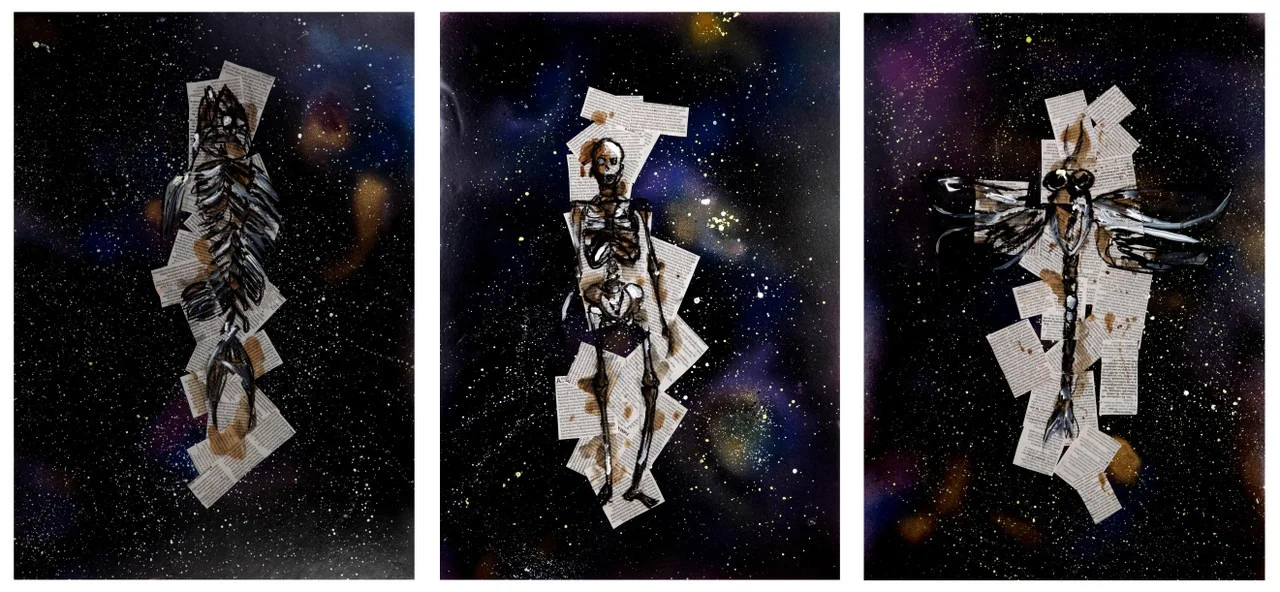 A mixed media of a fish skeleton, human skeleton and an insect skeleton over constellations and space.