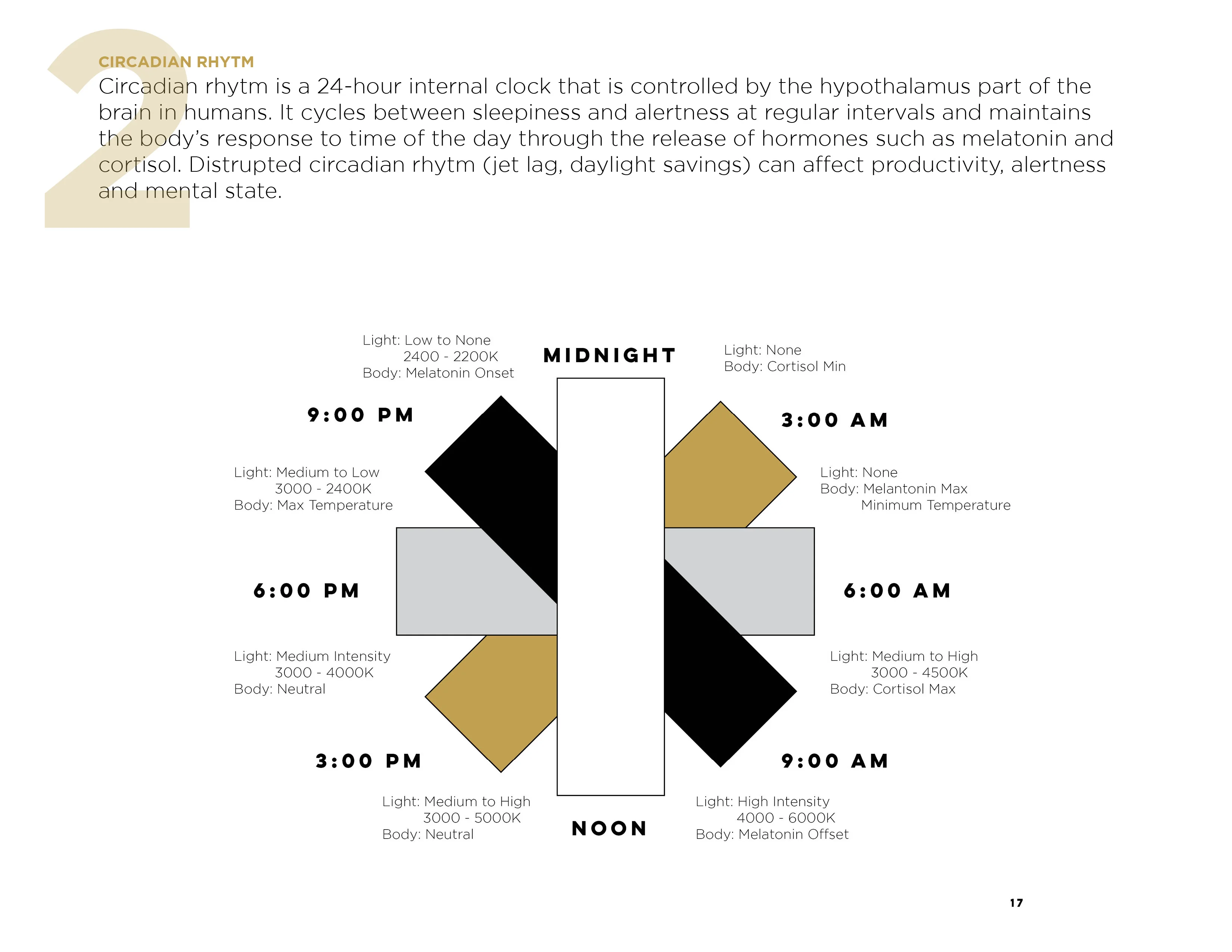 Diagram illustrating circadian rhythm with a 24-hour clock and color-coded patterns.